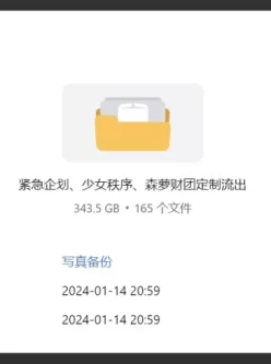 [转载搬运] 53套紧急企划、少女秩序、森萝财团等大合集 [NVNP+343.50GB][百度盘]