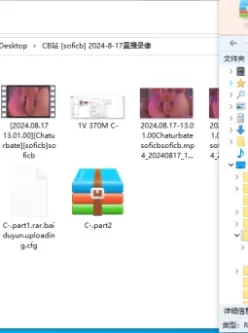 [自行打包] CB站 [soficb] 2024-8-17直播录像 [1V+370M][百度盘]